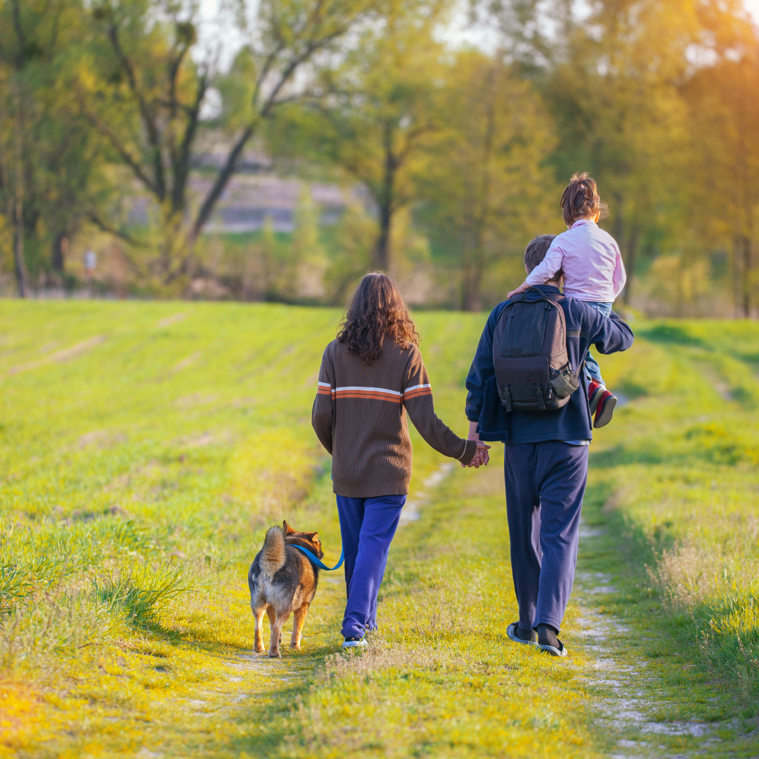 Hemel Garden Communities Health Lifestyles Survey